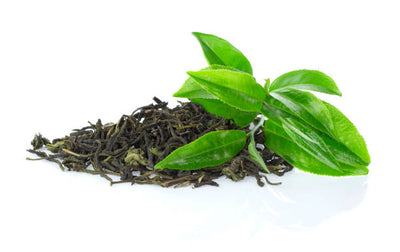 Green tea leaves on a white background